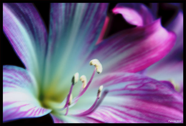 Image Hosted by ImageShack.us
